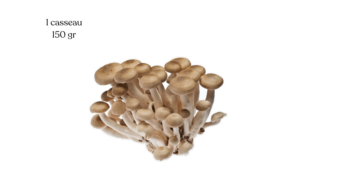 Champignon Shimeji 150 gr