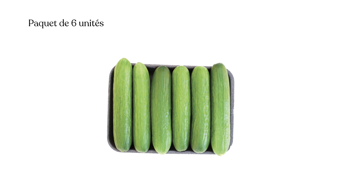 Concombres Libanais